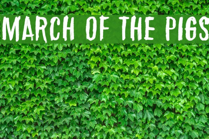 March of the pigs Font examples