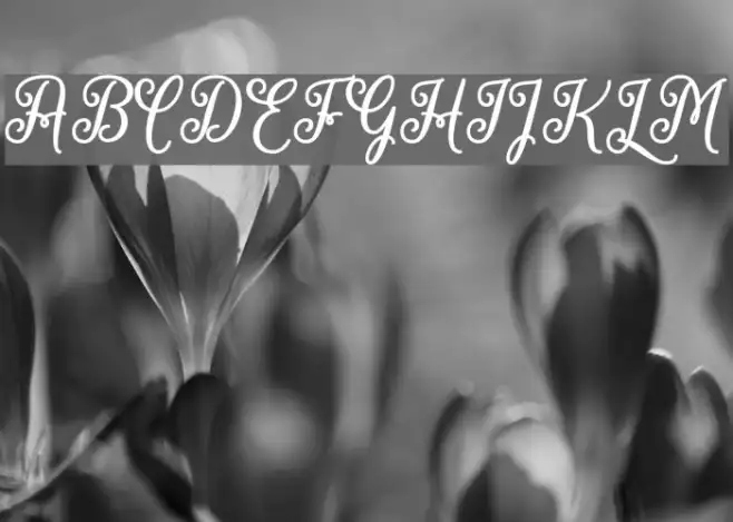 MarchCalligraphy Example 1