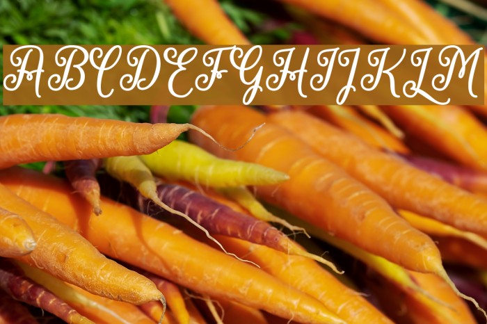 MarchCalligraphy Font examples