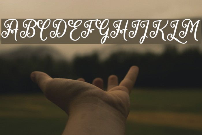 MarchCalligraphy Font examples