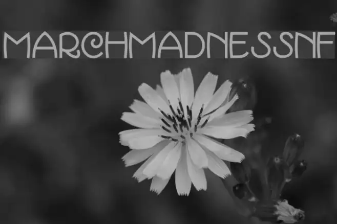 MarchMadnessNF Example 1