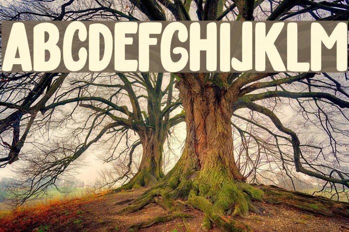 March Font examples