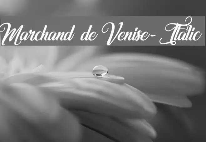 Marchand de Venise-Italic Font examples