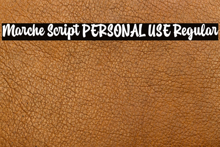 Marche Script PERSONAL USE Regular Example 2
