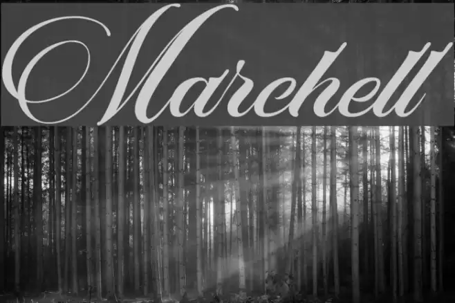 Marchell Font examples