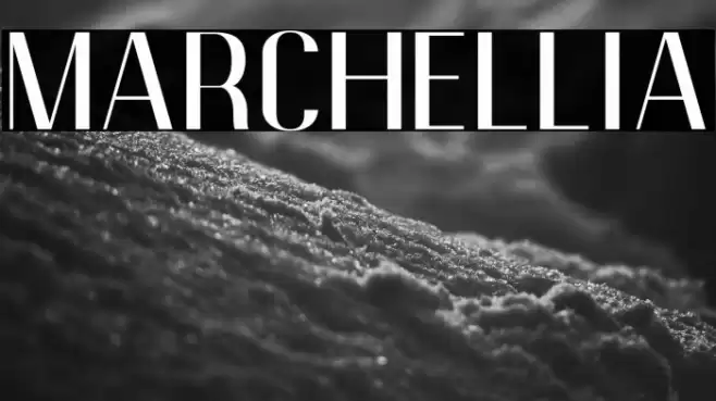 Marchellia Font examples