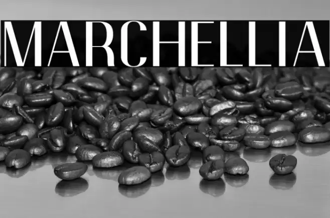Marchellia Font examples