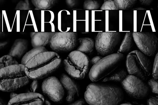 Marchellia Font examples