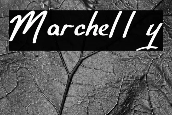 Marchelly Font examples