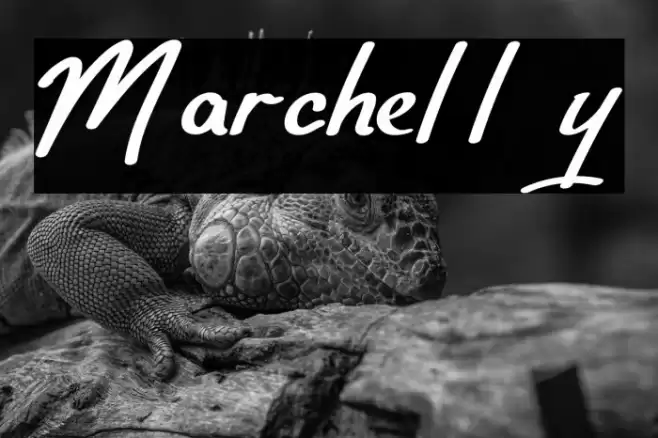 Marchelly Font examples