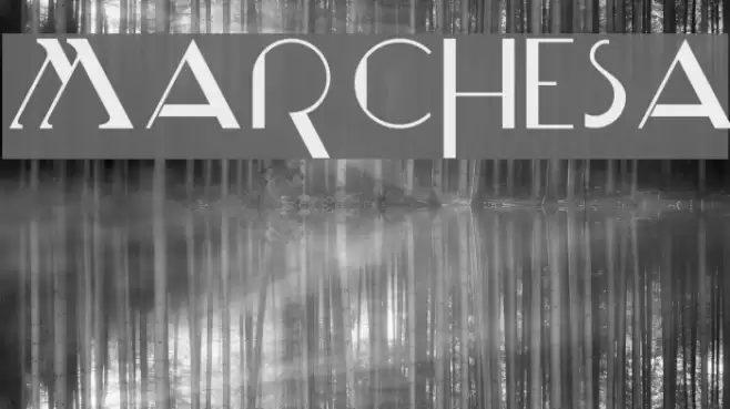 Marchesa Font examples