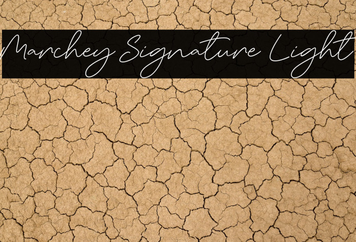 Marchey Signature Light Example 1