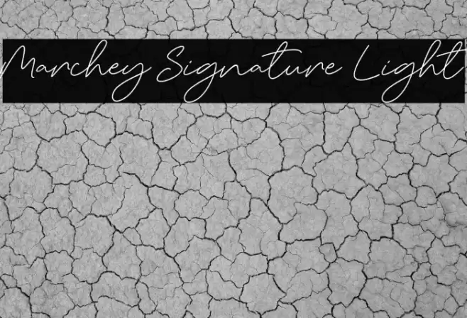 Marchey Signature Light Font examples
