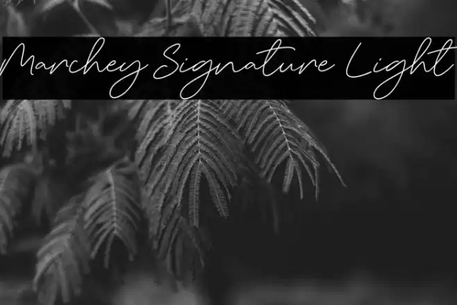 Marchey Signature Light Font examples