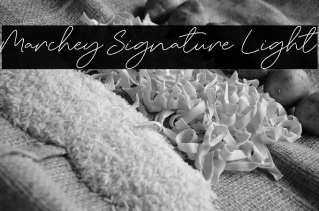 Marchey Signature Light Font examples