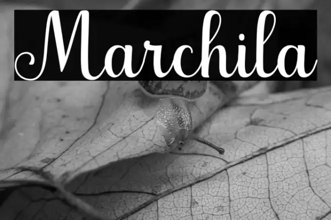 Marchila Example 2