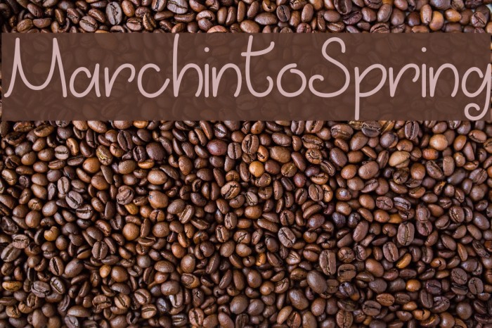 MarchintoSpring Font examples