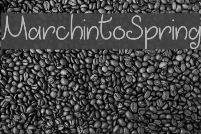MarchintoSpring Font examples