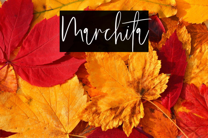 Marchita Example 1