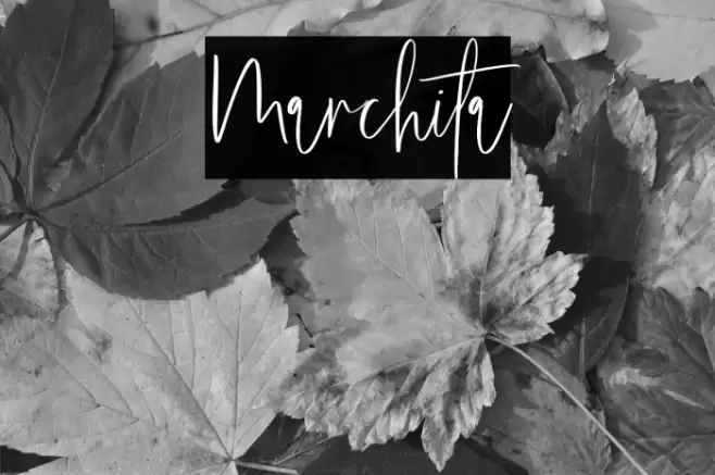 Marchita Font examples