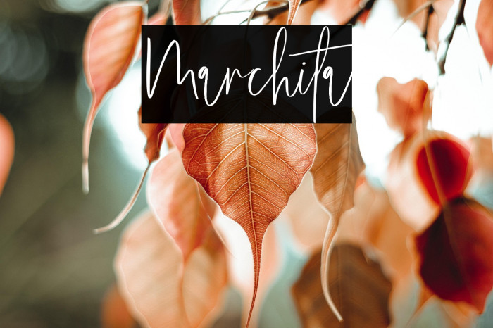 Marchita Example 2