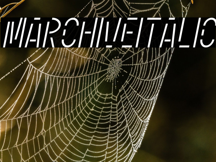 Marchive Italic Example 1