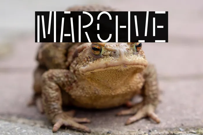 Marchive Example 1