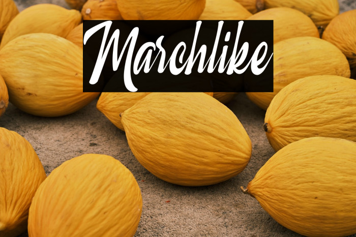 Marchlike Example 3