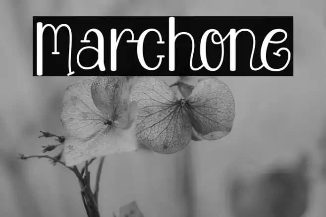 Marchone Example 1