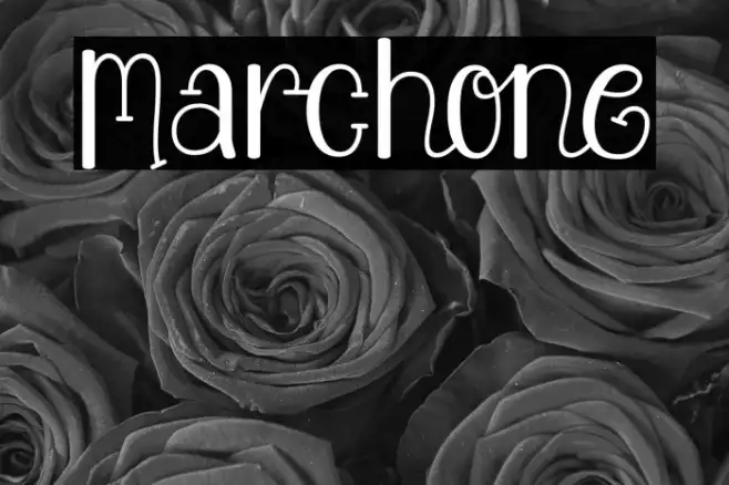 Marchone Example 2