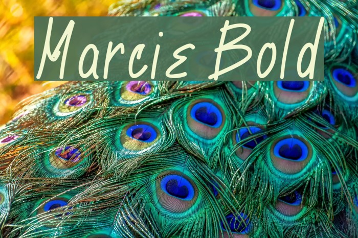 Marcie Bold Font examples