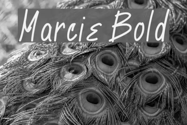 Marcie Bold Example 2