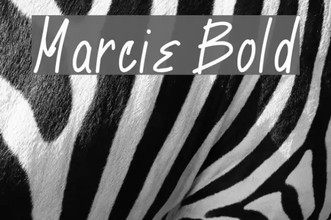 Marcie Bold Example 3