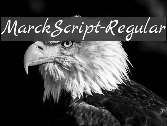 MarckScript-Regular Font examples