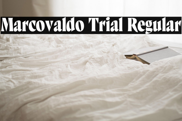 Marcovaldo Trial Regular Example 2