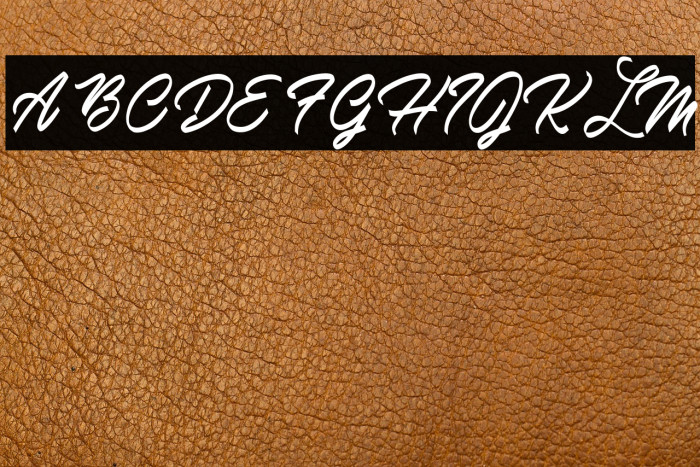 Mardi Gras Personal Use Example 2