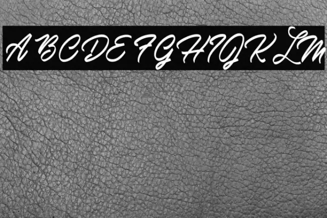 Mardi Gras Personal Use Font examples