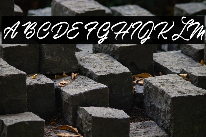 Mardi Gras Personal Use Example 3