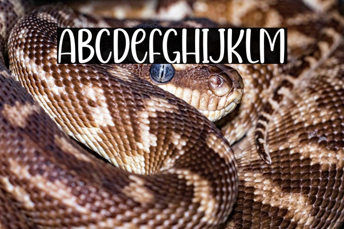 Mardi Gras Example 1