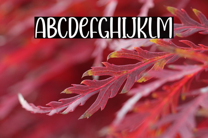 Mardi Gras Example 2