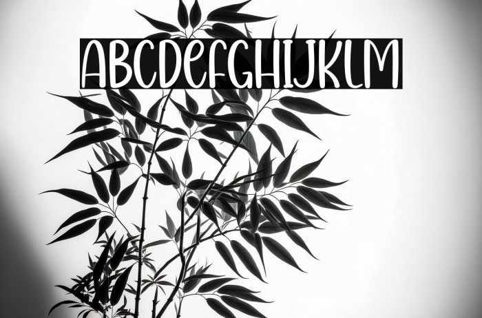 Mardi Gras Example 3