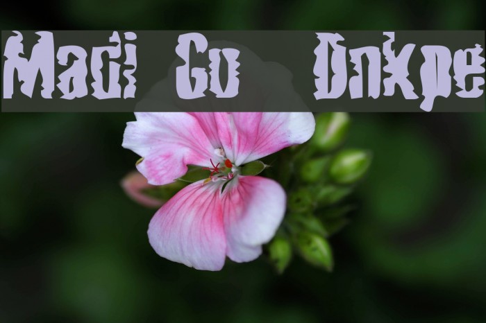 Mardi Gross Drunktype Font examples