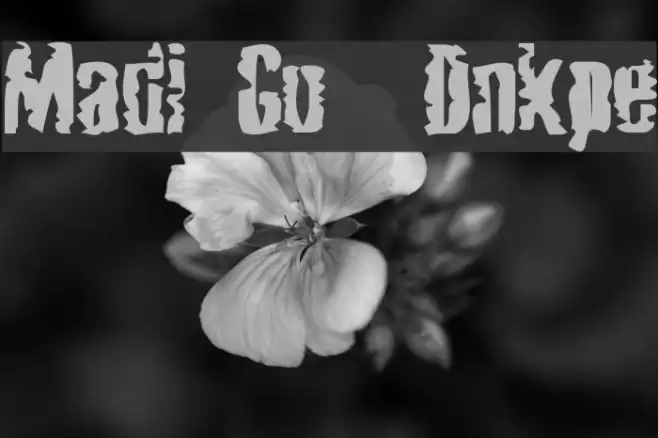 Mardi Gross Drunktype Schriftart examples