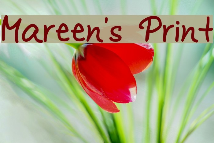 Mareen's Print Font examples