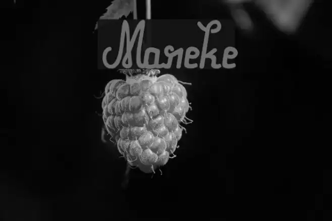 Mareke Example 3