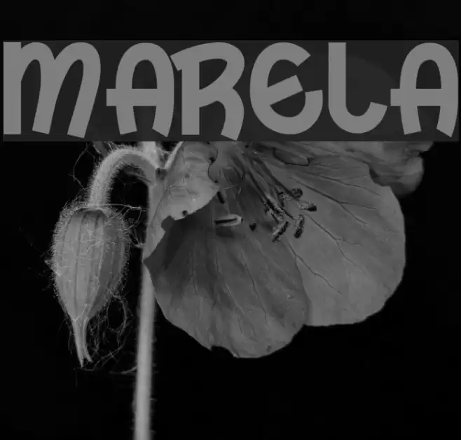 Marela Font examples