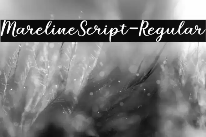 MarelineScript-Regular Font examples