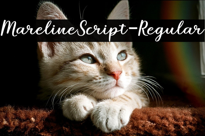 MarelineScript-Regular Example 3