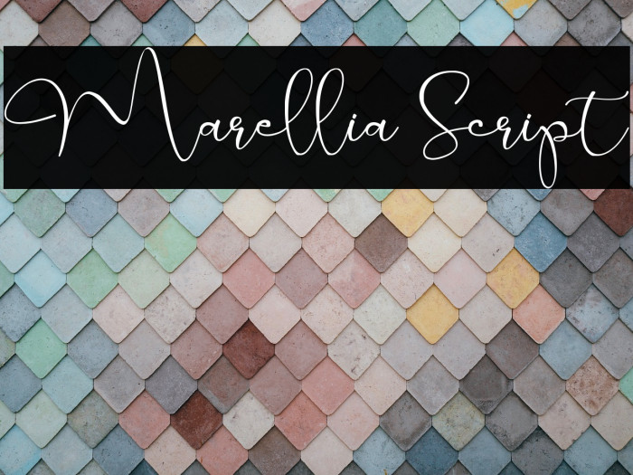 Marellia Script Example 2