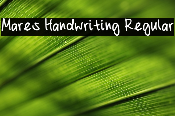 Mares Handwriting Regular Example 2